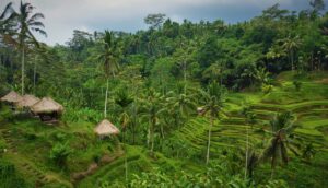 Indonezja – piękna niezależnie od pory roku